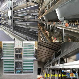 丹东及周边易登网 普通机械设备安装服务详解